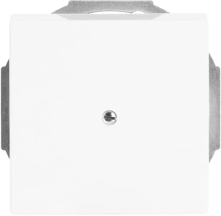 Busch-Jaeger 1749-84 Zentralscheibe dav/sws m.Tragr.f.Ltgsauslaß