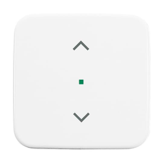 Busch-Jaeger 6232-10-214 Wippe 1-fach, Jalousie alpinweiß