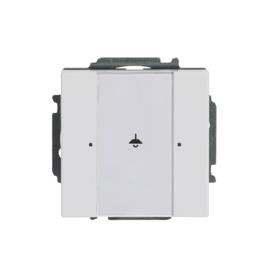 Busch-Jaeger 6125/01-84 Tastsensor, 1fach