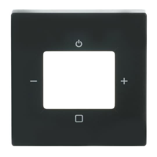 Busch-Jaeger 8252-81-101 Zentralscheibe