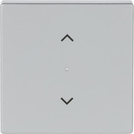 Busch-Jaeger 6232-10-83 Wippe 1-f Symbol Jalousie alusilber