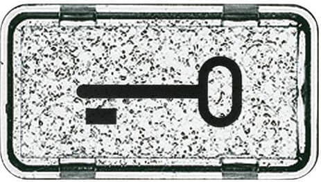 Busch-Jaeger 2622 TR-101 Tastersymbol Schlüssel