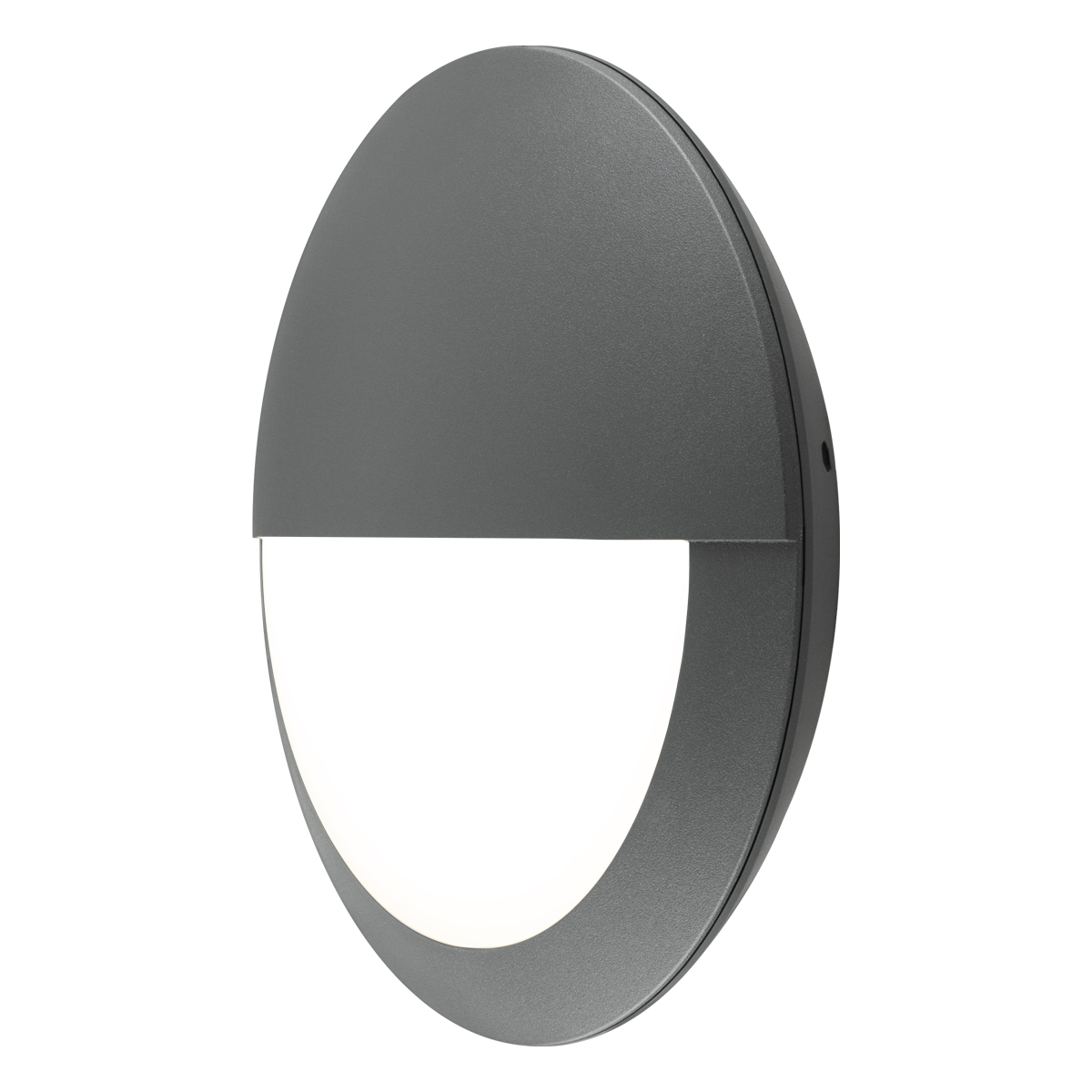 EVN Lichttechnik WE30181525 LED-Wandleuchte IP65