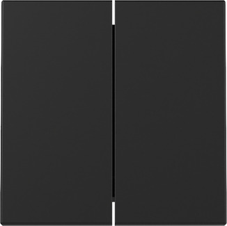 Gira 3295005 Wippe 2f Schwarz m