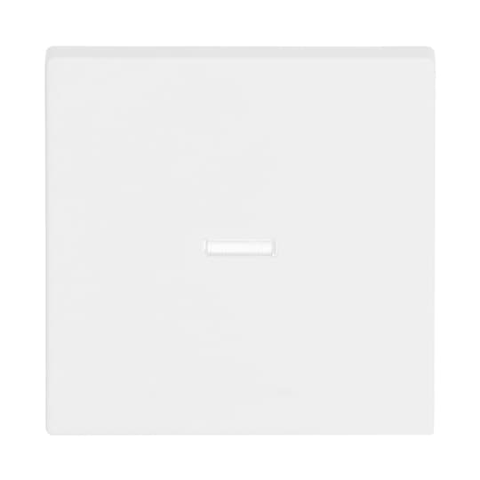 Busch-Jaeger 1789 N-884 Wippe studioweiß matt