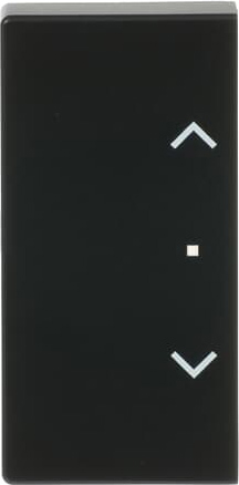 Busch-Jaeger 6232-20-885 Wippe sw mt future linear