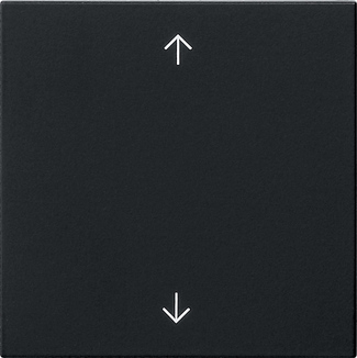 Gira 5389005 Wippe 1-fach Schwarz