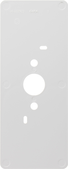 Gira 125600 Montageplatte f.Wohnungstation AP