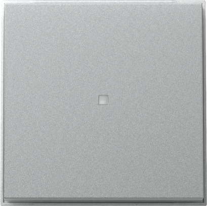 Gira 329065 Wippe Kontrollf. (WG UP) F Alu