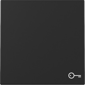 Gira 3287005 Wippe Symb. Tür Schwarz m