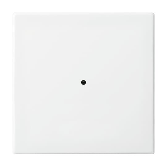 Busch-Jaeger 6731-914 Wandsender alpinweiß