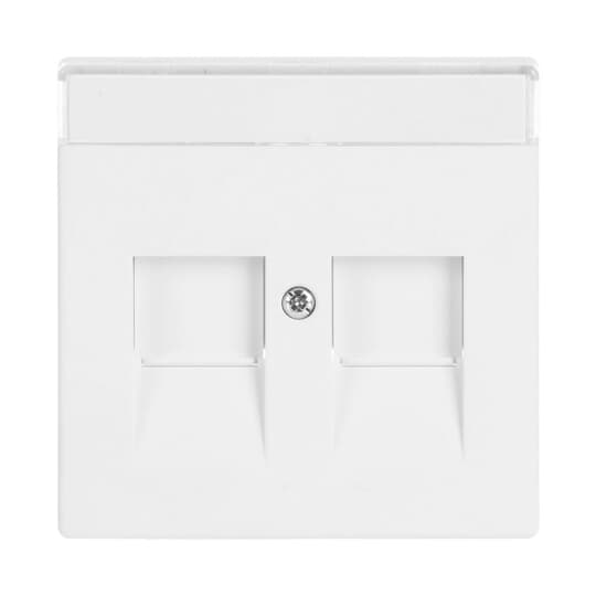 Busch-Jaeger 1800-884 Zentralscheibe stws mt Mod.Jack,2Ö,Beschri.