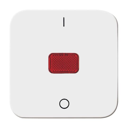 Busch-Jaeger 2508-214 Wippe aws Kontroll-Aus 2-polig