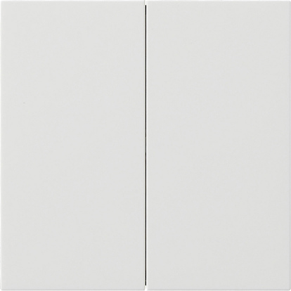 Gira 5362112 Bedienaufsatz 2fach rws