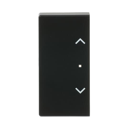 Busch-Jaeger 6232-20-885 Wippe sw mt future linear