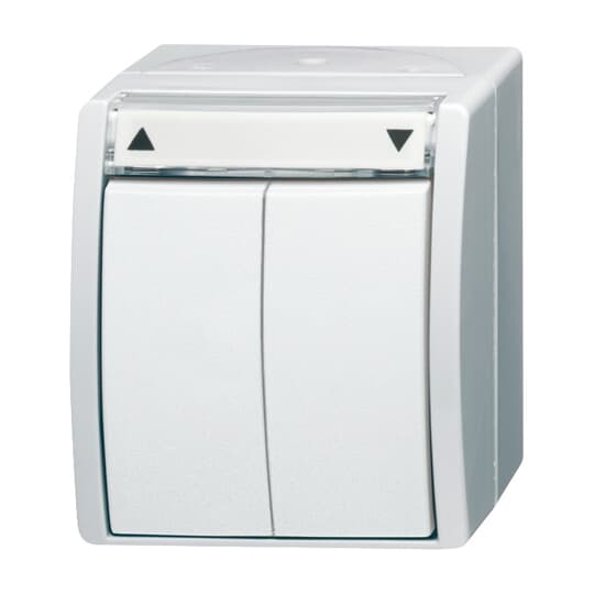 Busch-Jaeger 2621/4 W-54 Jalousietaster