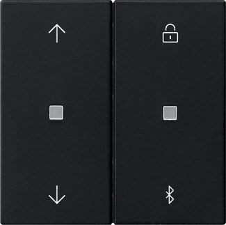 Gira 5367005 Jalousie u.Schaltuhr sw S3000 BT