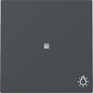 Gira 367428 Wippe Kontrollf. + Symb. Anthrazit