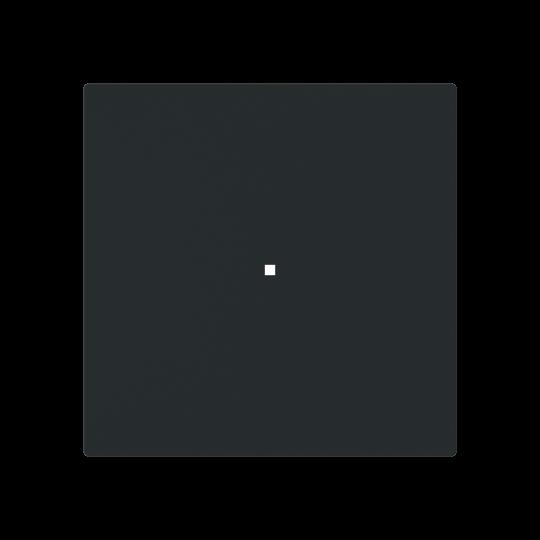 Busch-Jaeger 6230-10-45M Wippe, 1-fach neutral ohne Bedruckung