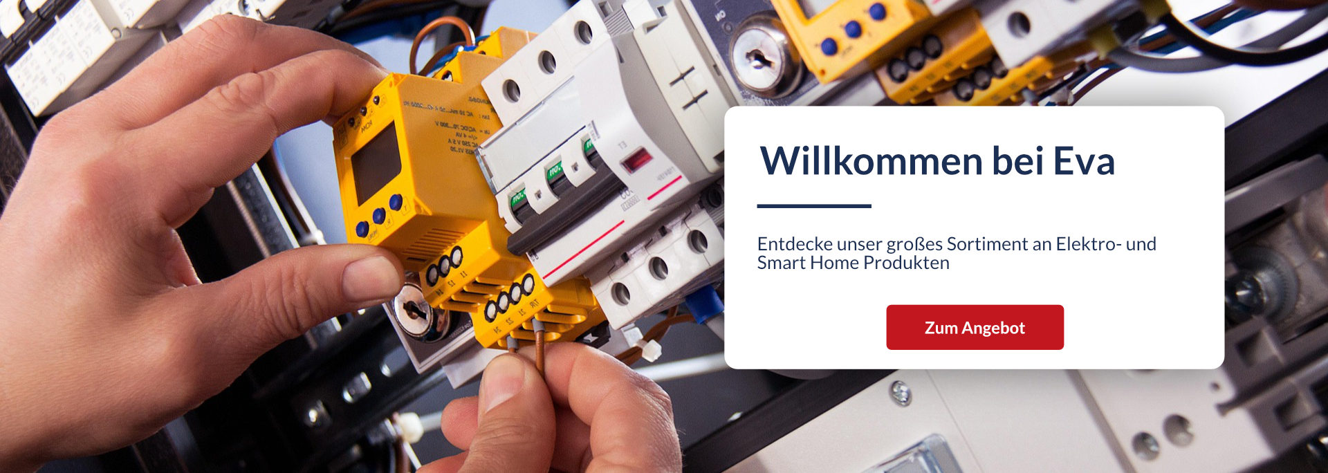 Zur Startseite gehen