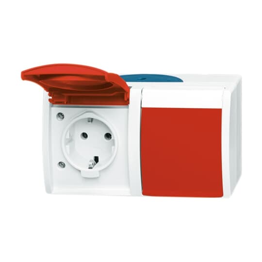 Busch-Jaeger 20/2 EW/DVN-53 Schuko-Steckdose 2f. waagerecht