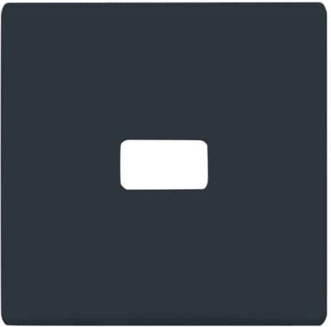 Busch-Jaeger 2120-35 Wippe anth offen für Symbol