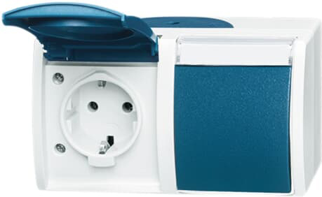 Busch-Jaeger 20/2 EWN-53 Schuko-Steckdose 2f. waagerecht