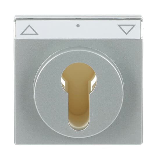 Busch-Jaeger 1755 SL/PZ-83-101 Zentralscheibe alusi f.Schlüsselschalter