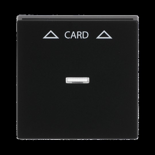 Busch-Jaeger 1792-885 Zentralscheibe sw mt für Cardschalter