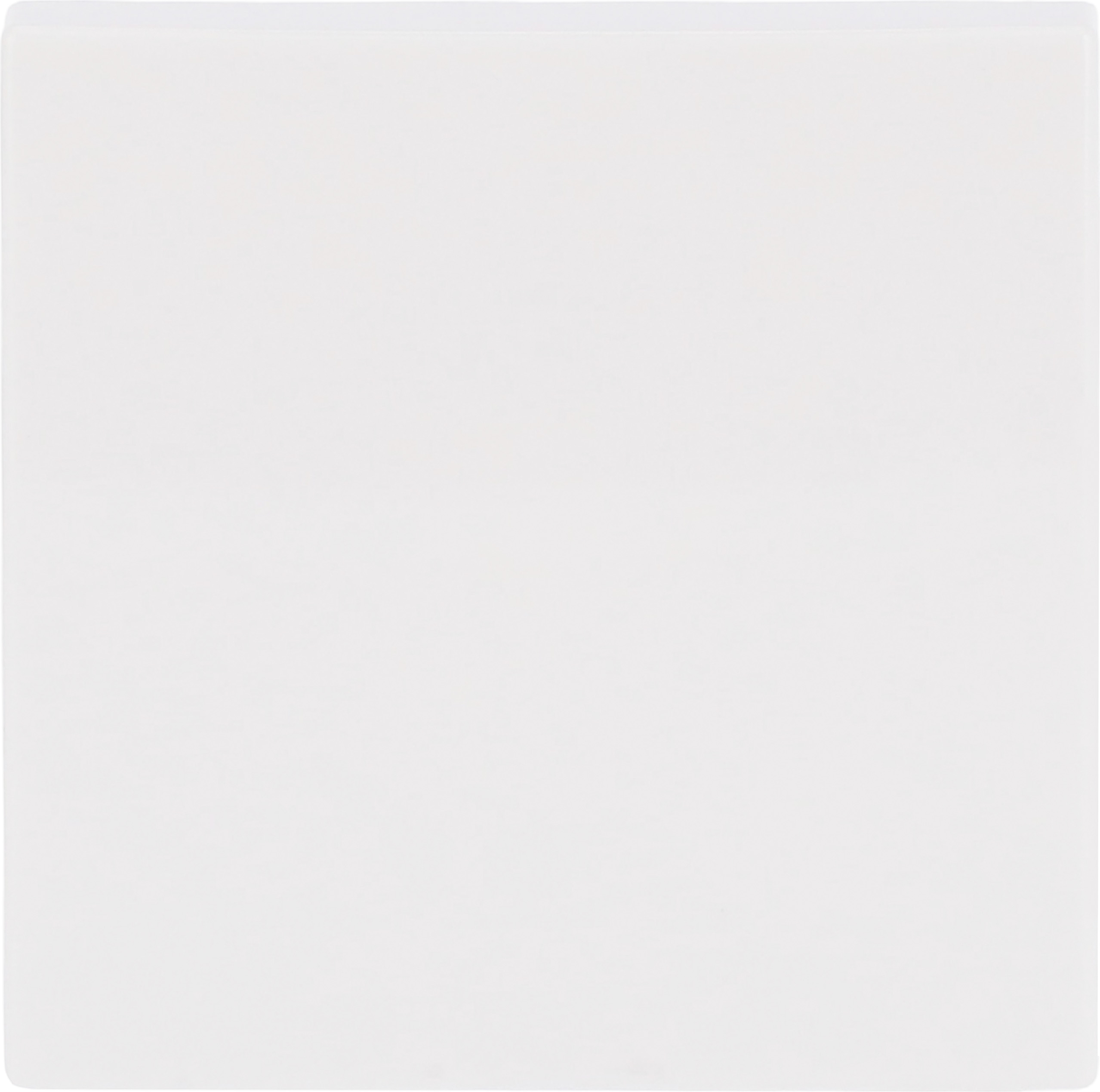 Busch-Jaeger 2506-914 Wippe aws Busch-balance SI