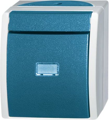 Busch-Jaeger 2601/6 WGL-53 Wechselschalter AP