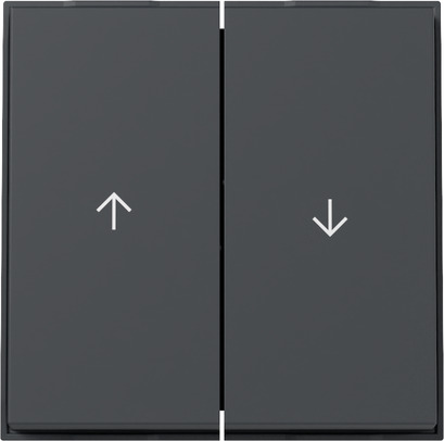 Gira 329467 Wippe 2f Pfeil (WG UP) Anthrazit