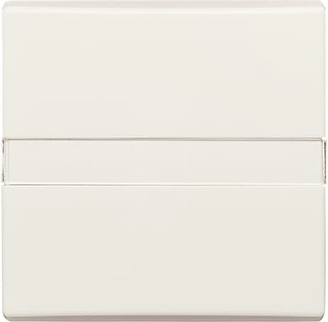 Busch-Jaeger 2106 N-32 Wippe cws Aus,Wechsel,m.Beschr