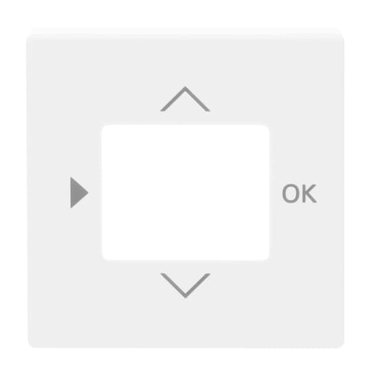 Busch-Jaeger 6435-84 Zentralscheibe dav/sws f.Timer-Bedienelem.