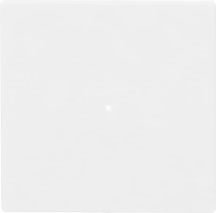 Busch-Jaeger 6230-10-84 Wippe 1-fach studioweiß