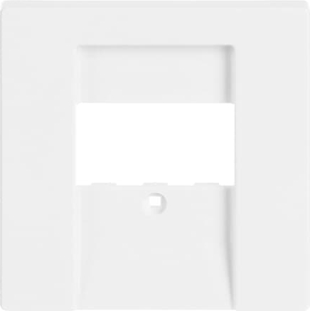 Busch-Jaeger 1766-84 Zentralscheibe dav/sws f.UAE/TAE/LS