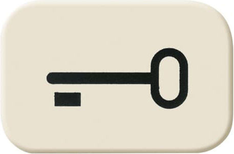 Busch-Jaeger 2525 TR Tastersymbol Schlüssel