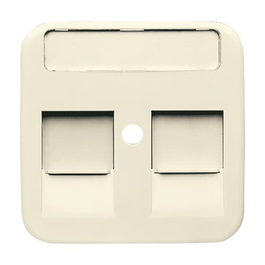 Busch-Jaeger 1800-212 Zentralscheibe ws Mod.Jack,2Ö,Beschri.