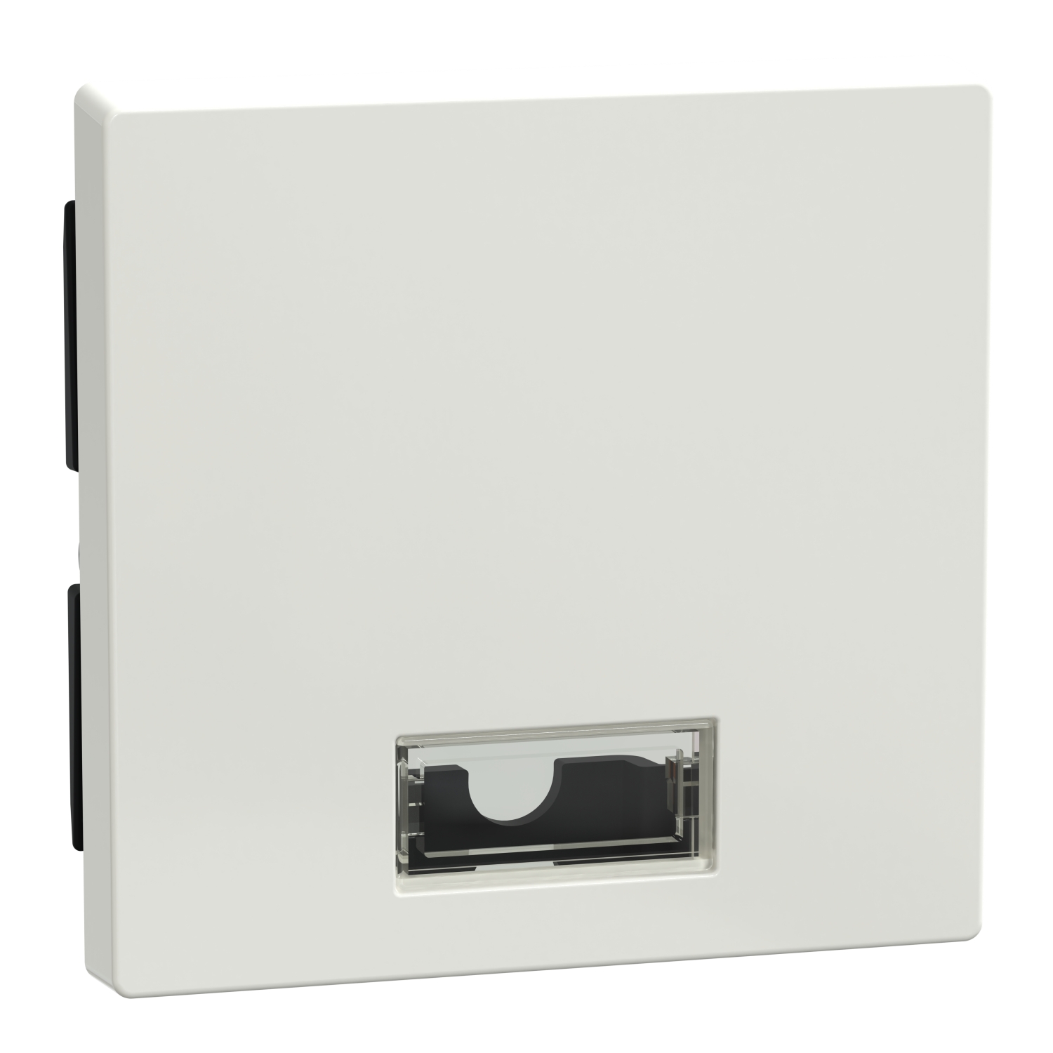 Merten 432819 Wippe Symbol Fenster pwsgl rechteckig