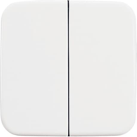 Busch-Jaeger 2505-214 Wippe aws Serie