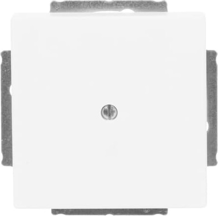 Busch-Jaeger 1742-884 Zentralscheibe ws Blindabd,m.Tragring