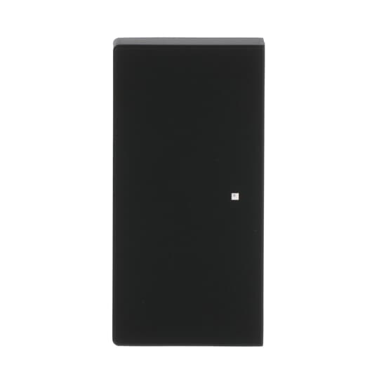 Busch-Jaeger 6230-20-885 Wippe sw mt future linear