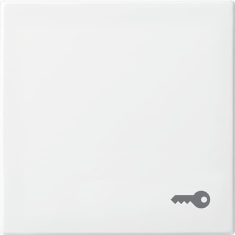 Busch-Jaeger 2520 TR-914 Wippe mit Aufdruck alpinweiß