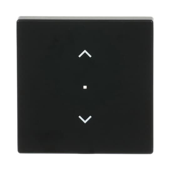 Busch-Jaeger 6232-10-885 Wippe sw mt future linear