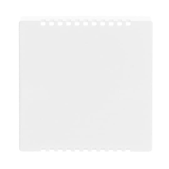 Busch-Jaeger 6541-84 Zentralscheibe dav/sws Kühlteil,UP-Drehdim.