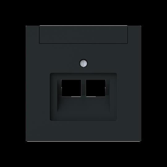 Busch-Jaeger 1803-02-45M Zentralscheibe 2-fach, UAE m. Beschriftungsfeld