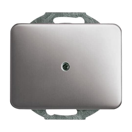 Busch-Jaeger 1749-20 Zentralscheibe pla m.Tragr.f.Ltgsauslaß