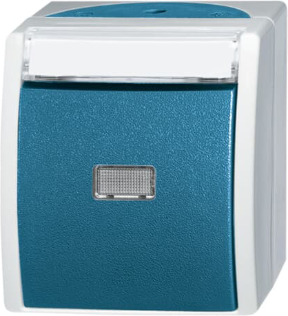 Busch-Jaeger 2621 WN-53-201 Taster Schliesser 1-pol.AP