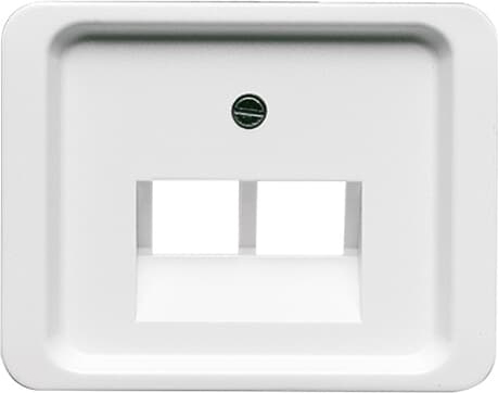 Busch-Jaeger 1803-02-24G Zentralscheibe stws gl f.UAE-Anschlussdo.2f