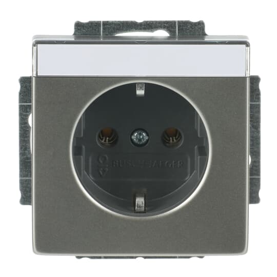Busch-Jaeger 20 EUN-866 Steckdose edelstahl